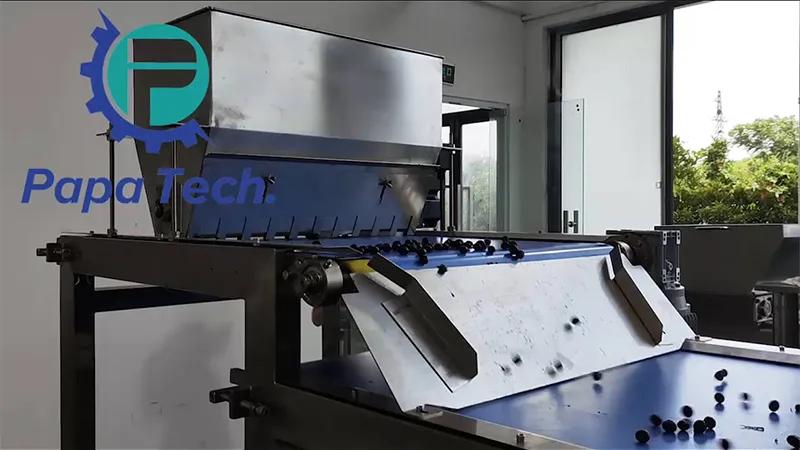Custom Double-Layer Chocolate Coating Line for an Australian Raspberry Snack Manufacturer